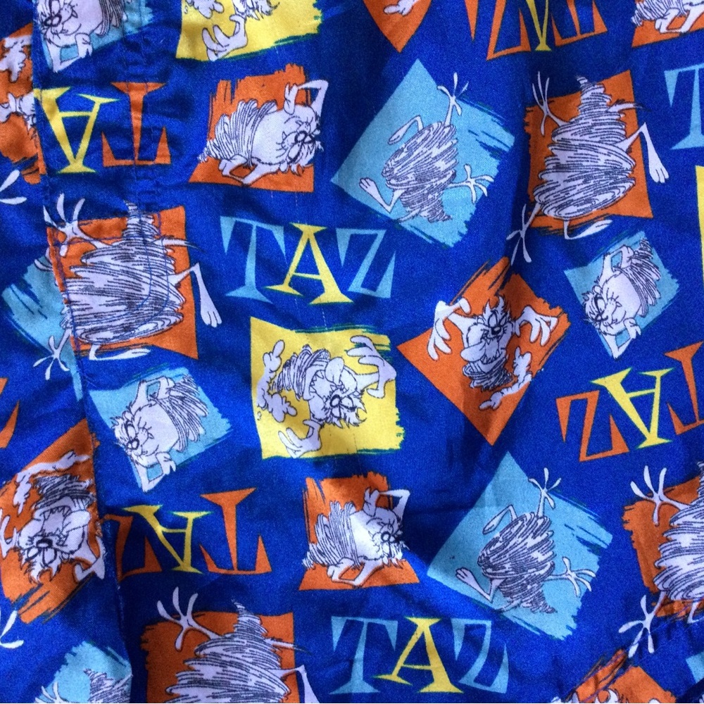Taz Silky Shorts XL Elastic Waist Looney Tunes Cartoon